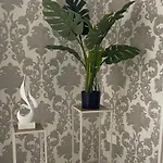 Villa Verde Βίλα